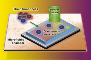 real time visualisation of cancer cell